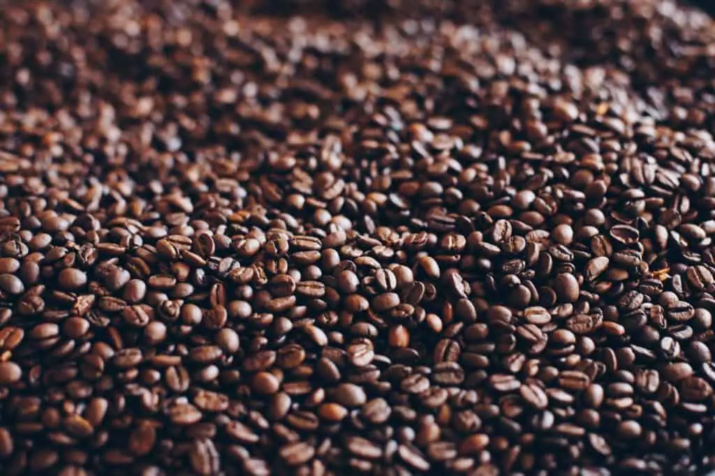 oily coffee beans