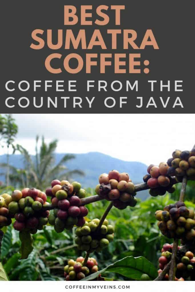 Best Sumatra Coffee Coffee From The Country Of Java