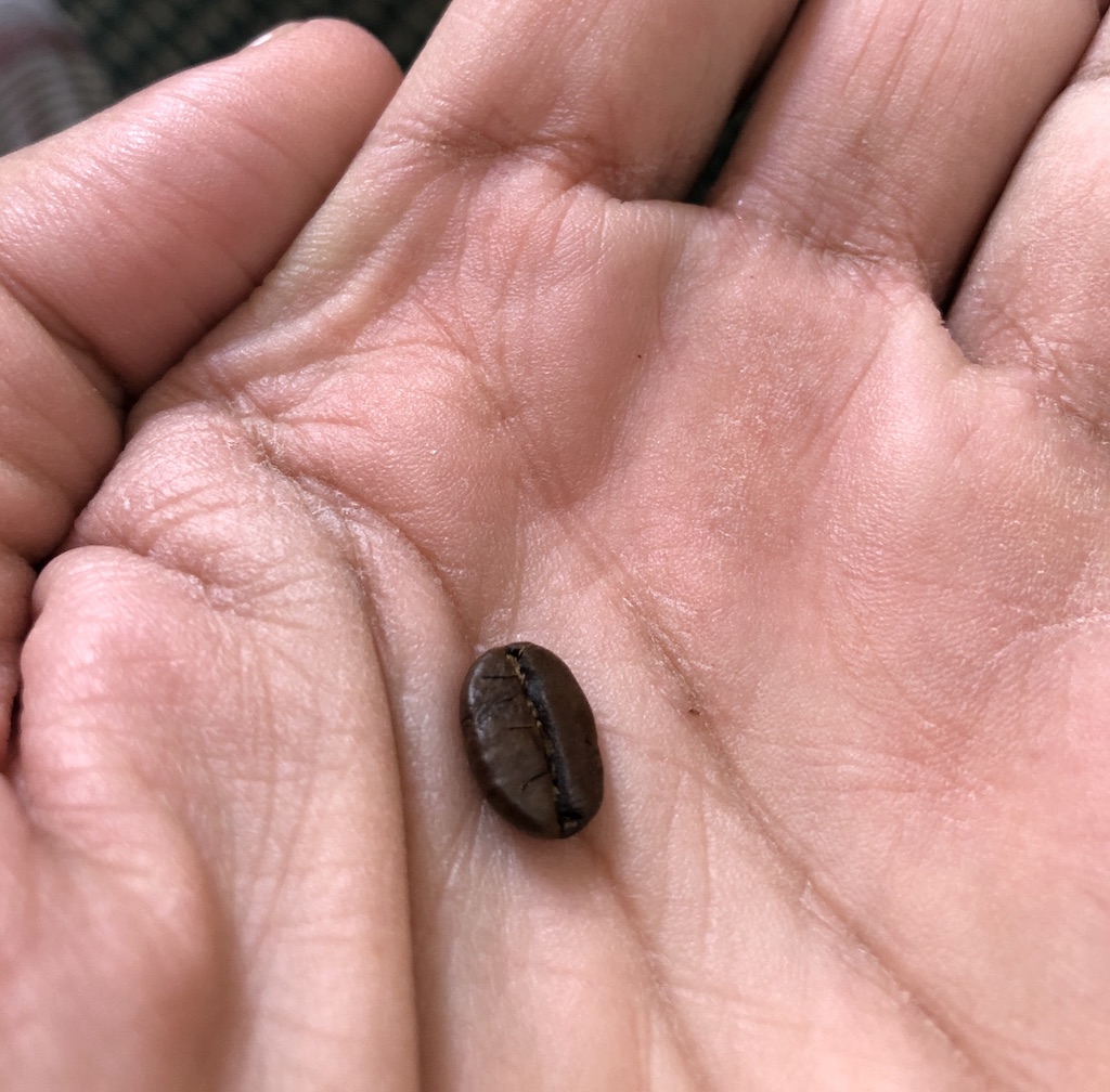 lifeboost coffee bean